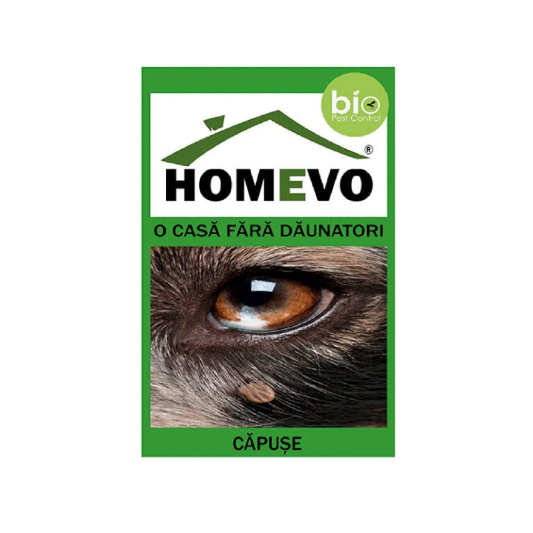 Pulbere anti capuse, Homevo