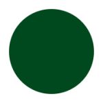 Vopsea pentru lemn si metal, Danke Uscare Rapida, exterior, verde inchis, 2.5 L - imagine 2