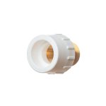 Mufa PPR, D 63 mm, 2", filet exterior, alb, IFN - imagine 2