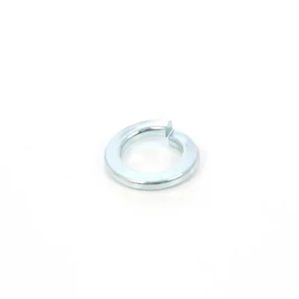 Saiba elastica