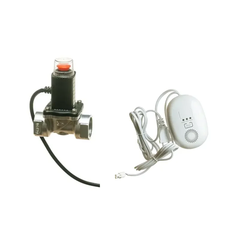 Set detector gaz cu electrovalva
